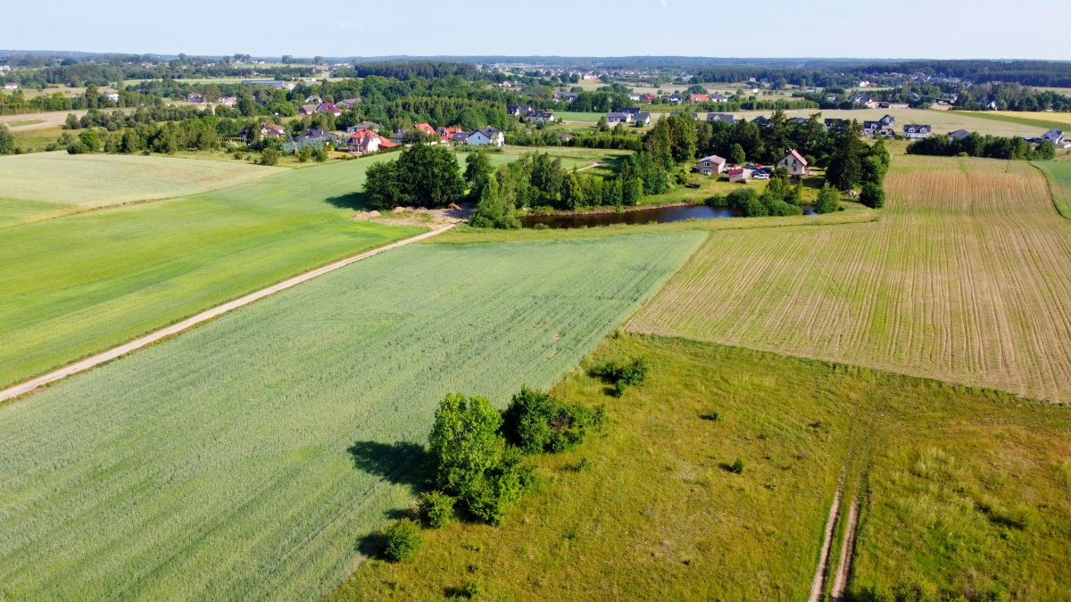 video image