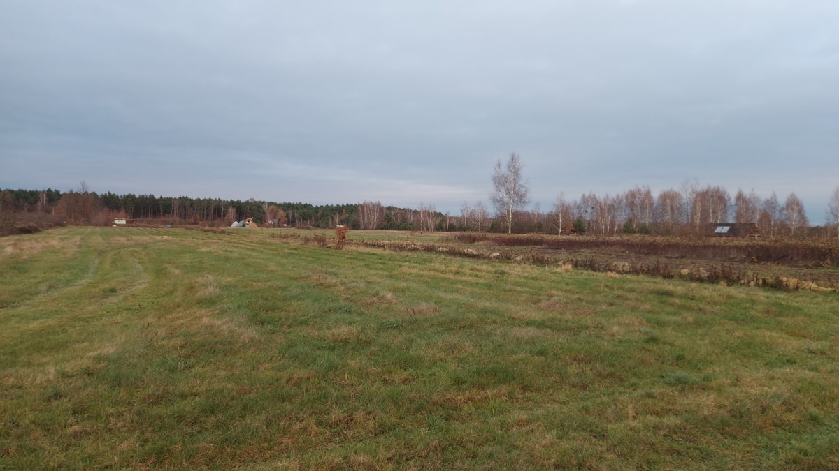 video image