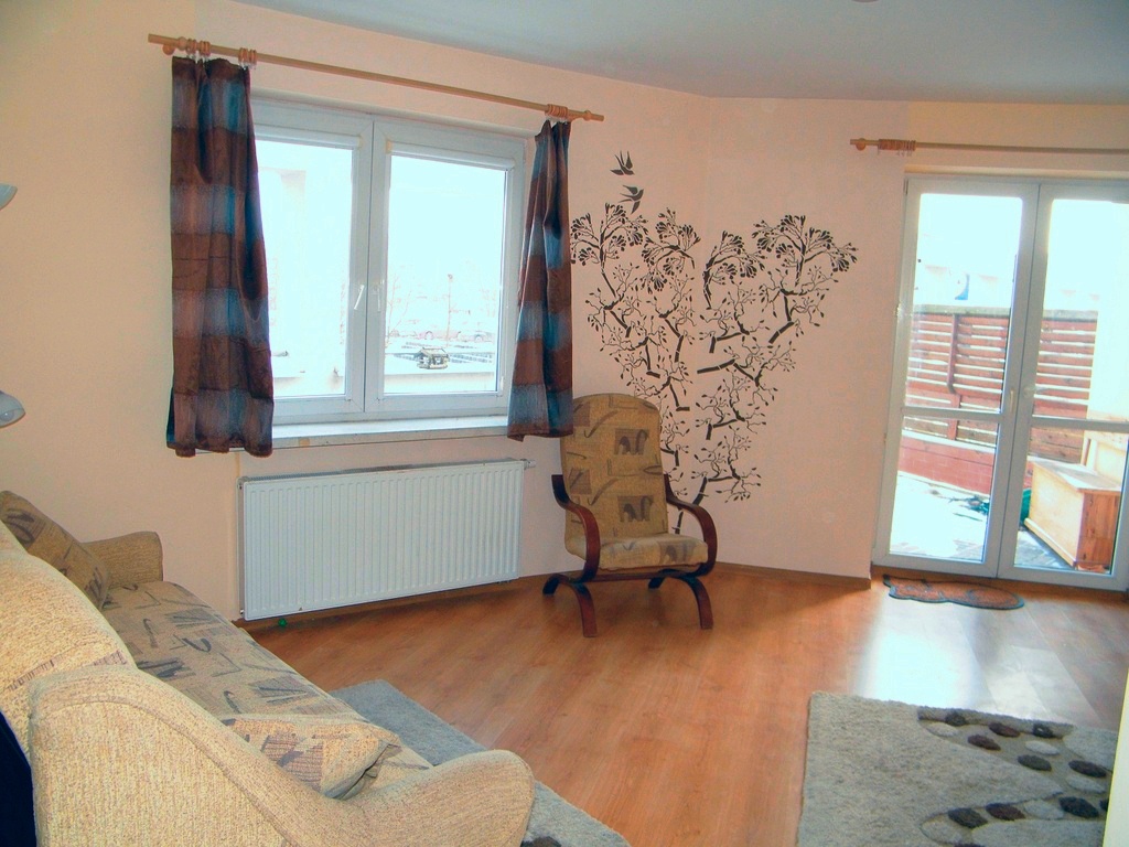 video image