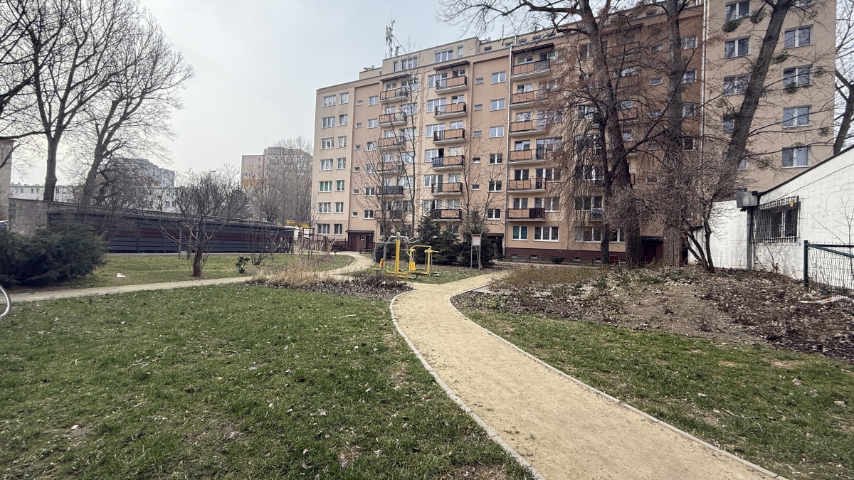 video image
