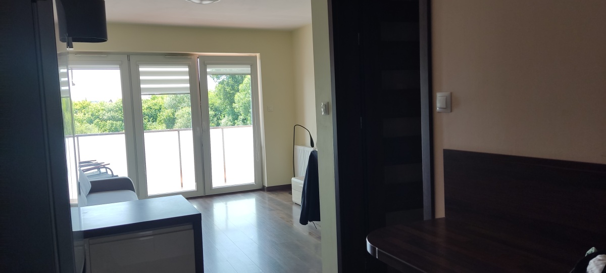 video image