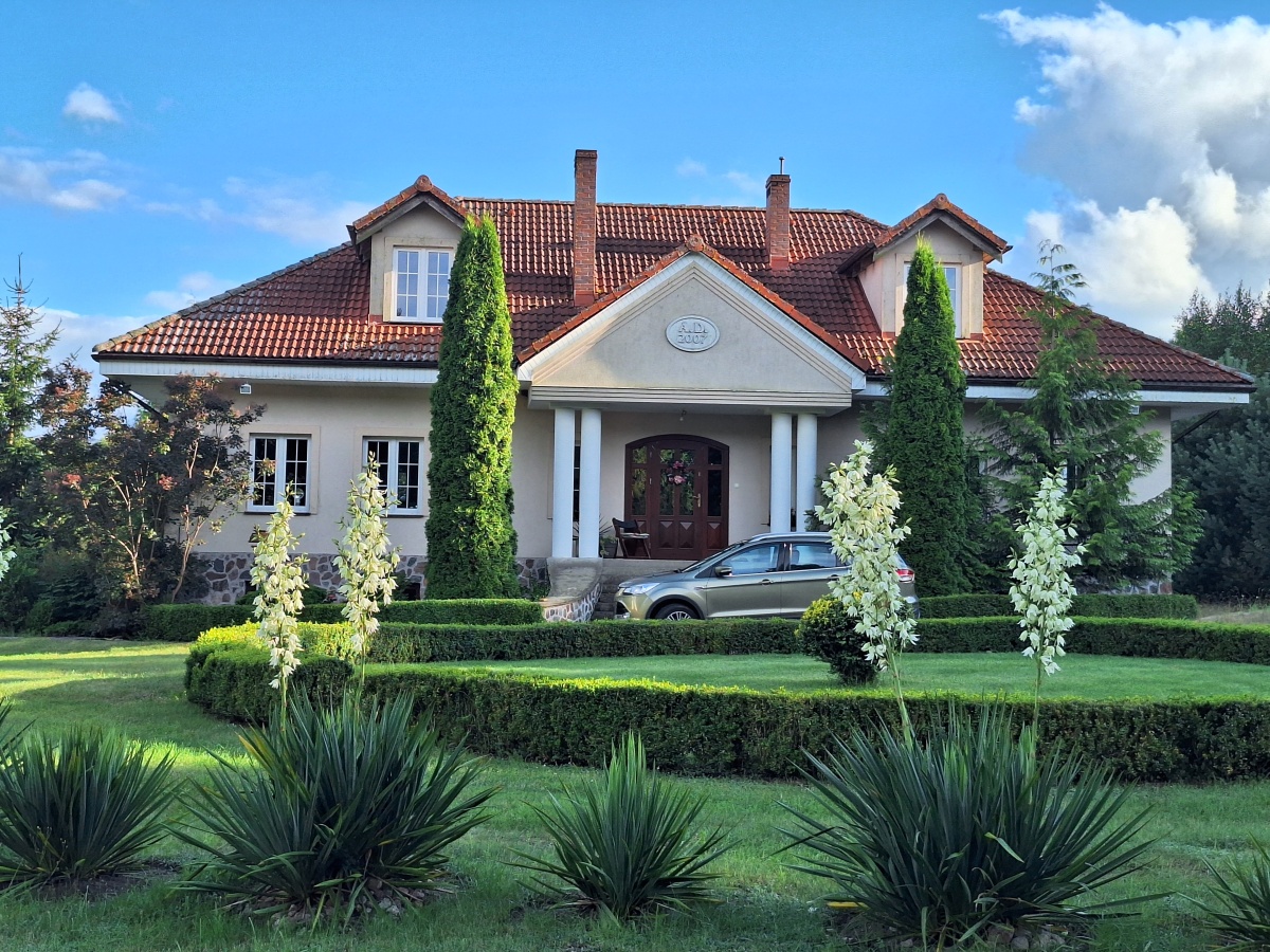 video image