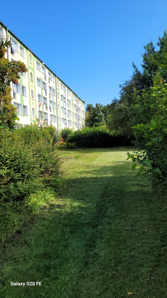 video image