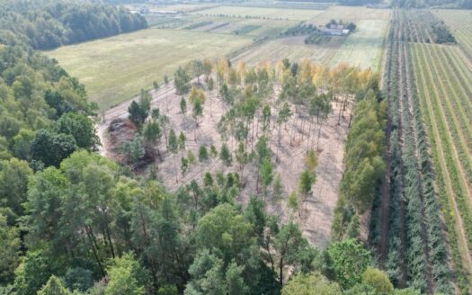 Działki budowlane na sprzedaż|40min od Pruszkowa