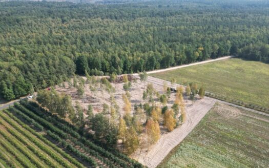 Działki budowlane na sprzedaż|25min od Grodziska