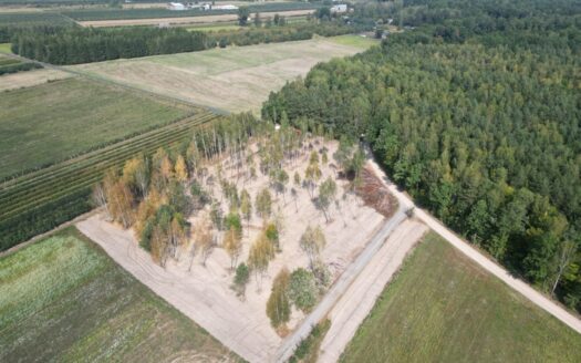Działki budowlane na sprzedaż|25min od Grodziska