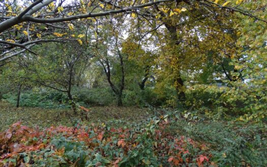 Działka Ursus Czechowice, aktualne i ostateczne WZ