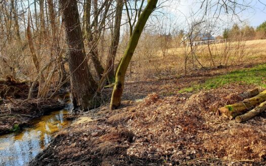 Działki bud w sercu natury, 35 min od Warszawy