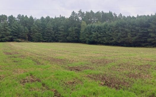 Działka rolno-leśna Stare Lipki