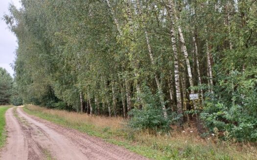 Działka rolno-leśna Stare Lipki