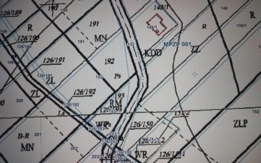 Działka z własnym lasem w cichej okolicy