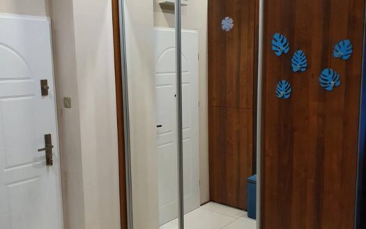 Dźwiękowa, 2 garaże, taras, piwnica, klimatyzacja