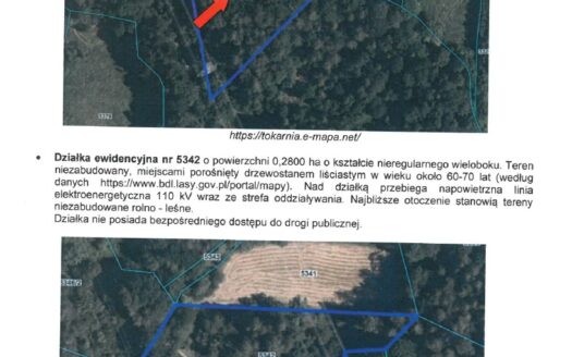 Konkurs syndyka – nieruchomość gruntowa w Tokarni