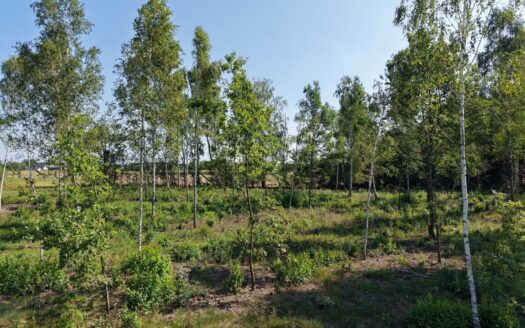 Osiedle Stary Sad, działki budowlane Nasielsk