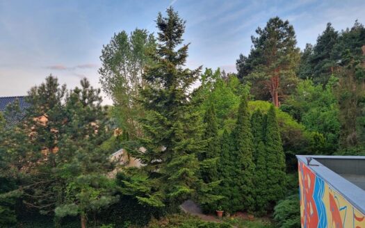 Dom na dużej zielonej działce w Puszczykowie