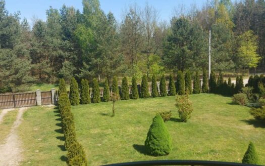 DOM JEDNORODZINNY NA DUŻEJ DZIAŁCE