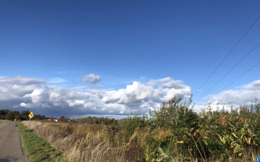 Atrakcyjna działka budowlana Dys