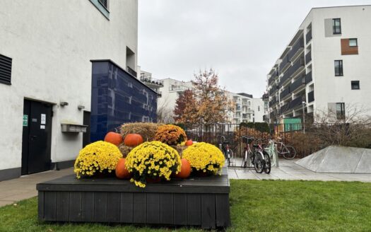 BEZPOŚREDNIO, Żoliborz z klimatyzacją