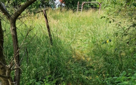 Dom wolnostojący z dużym potencjałem