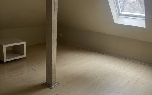 Willa w Parku Skaryszewskim – biuro i mieszkanie