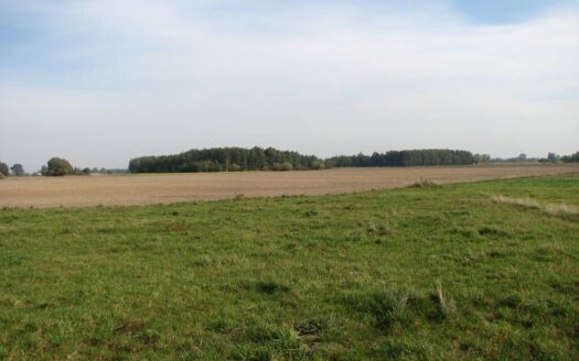 Działka z WZ 90km od Warszawy-Płońsk-Płock-Raciąż