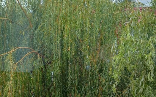 Mieszkanie 3 pokoje Swarzędz sprzedam