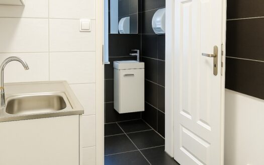 3 niezależne mieszkania w willi miejskiej