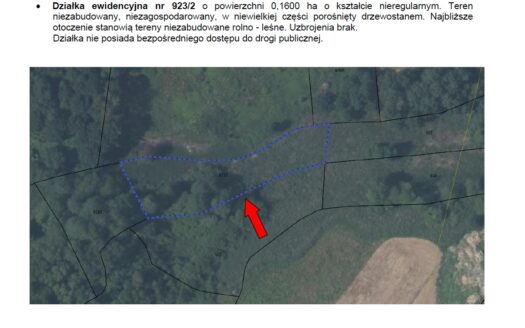 Konkurs syndyka- nieruchomość w Koźmicach Wielkich