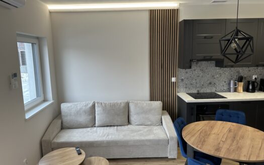 Lokal dwupoziomowy o funkcjonalnym rozkładzie