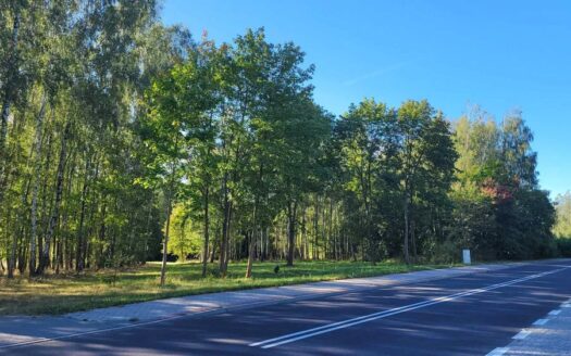 Działka z WZ i projektem domu.