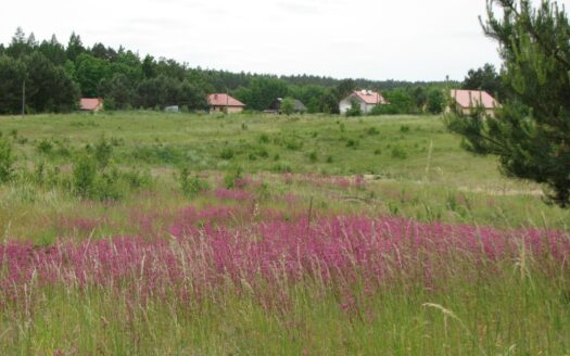 Działka budowlana z WZ Łapka k/Barczewa