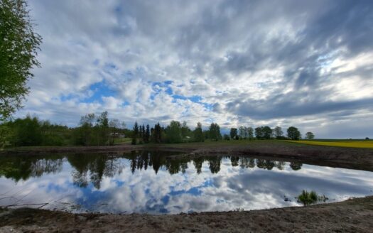 1,56ha DZIAŁKA BUDOWLANA ZE STAWEM 35min od Gdańsk