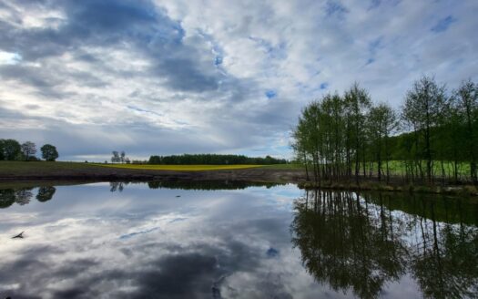 1,56ha DZIAŁKA BUDOWLANA ZE STAWEM 35min od Gdańsk