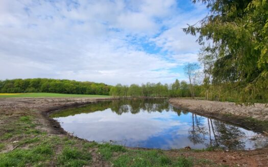 1,56ha DZIAŁKA BUDOWLANA ZE STAWEM 35min od Gdańsk