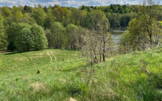 Kapice | Dom z Linią Brzegową | 400m² | Premium