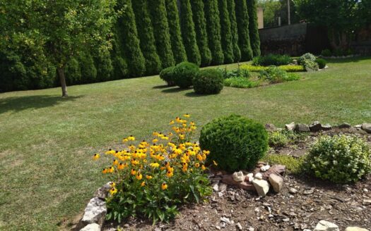 Dom Wojkowice Głowackiego oferta prywatna