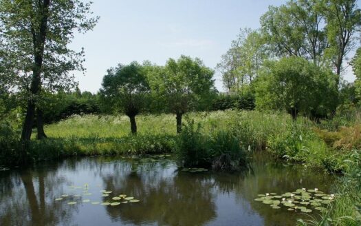 Działka z linią brzegową Rukławki,Dadaj