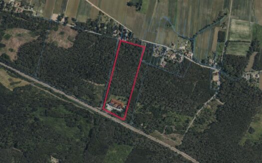 DZIAŁKA BOROWICE (5,81 ha) POD RESTAURACJĘ / HOTEL