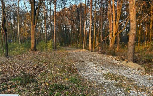 Blisko lasu, Podkowa Leśna, 30% pow zabudowy