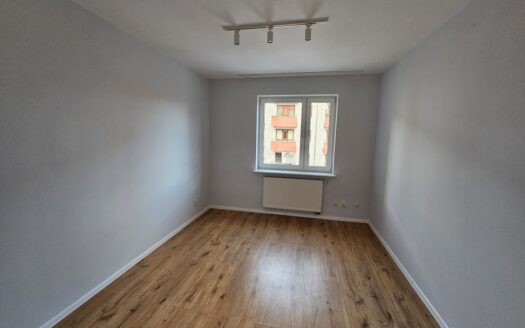 65 m2 | ul. Nowy Świat | wynajem