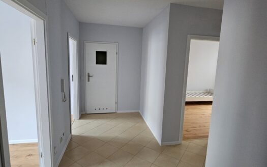 65 m2 | ul. Nowy Świat | wynajem