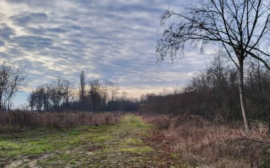 Duża budowlana działka Jadwisin