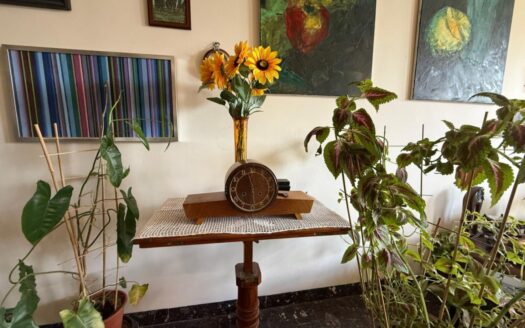 Dom w Witkowicach na sprzedaż!