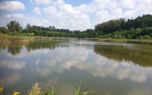 PTAKOWICE usługi sportu