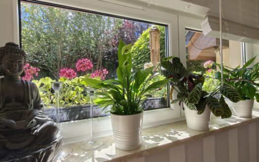 DOM BLIŹNIAK W ŚWIETNEJ LOKALIZACJI