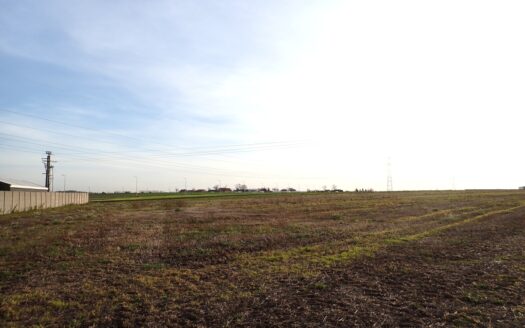 Sprzedam atrakcyjną działkę Widziszewo, MN,AG,PROD