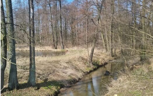 Duża działka budowlana Tomaszówka – Pniewy