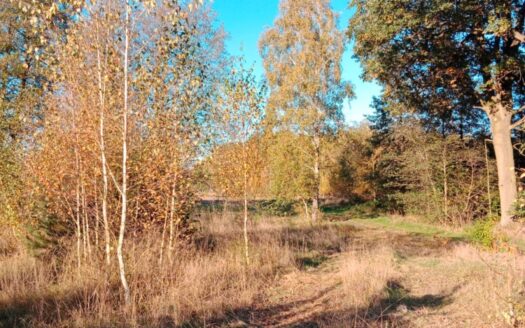 Działka Bogusławki – Sulęcinek