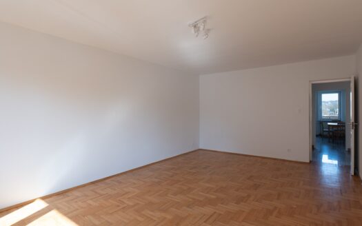 Duże mieszkanie w cichej i zielonej okolicy