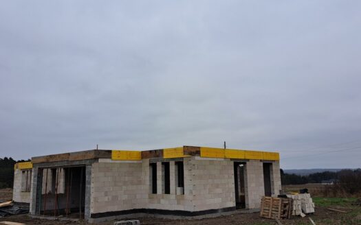 Dom parterowy z poddaszem antresolą